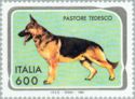 German Shepherd (Canis lupus familiaris)