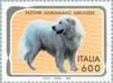 Maremma Sheepdog (Canis lupus familiaris)
