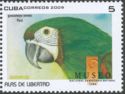 Chestnut-fronted Macaw (Ara severus)