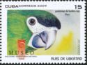Red-shouldered Macaw (Diopsittaca nobilis)