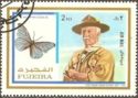 Giant Blue Morpho (Morpho didius) and Baden-Powell