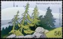 Mountain landscape with spruce trees