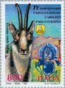 Abruzzo Chamois (Rupicapra ornata), (Iris marsica) 