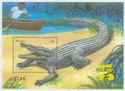 Saltwater Crocodile (Crocodylus porosus)