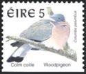 Common Woodpigeon (Columba palumbus)