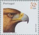 Golden Eagle (Aquila chrysaetos)