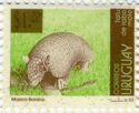 Greater Naked-tailed Armadillo (Cabassous tatouay)