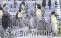 Save Our Wildlife - Penguins
