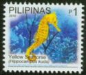 Spotted Seahorse (Hippocampus kuda)