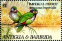 Imperial Parrot (Amazona imperialis)