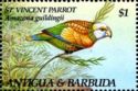 St. Vincent Parrot (Amazona guildingii)