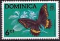 Polydamas Swallowtail (Battus polydamas)