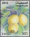 Citrus fruits