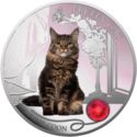 2 Dollars (Maine Coon)