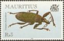 Weevil (Cratopus chrysochlorus)