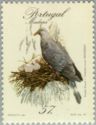 Trocaz Pigeon (Columba trocaz)