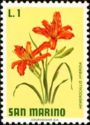 Day lily (Hemerocallis hybrida)