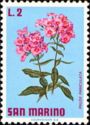 Phlox (Phlox paniculata)