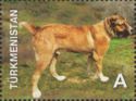 Alabai (Canis lupus familiaris)