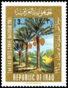 Landscape scene with date palms