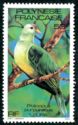 Grey-green Fruit-Dove (Ptilinopus purpuratus)