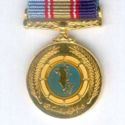 Military Service Medal (Miniature)