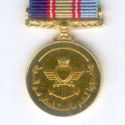 Military Service Medal (Miniature)