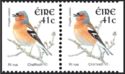 Common Chaffinch (Fringilla coelebs)