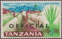 Sisal Plantation - Overprinted