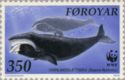 Bowhead Whale (Balaena mysticetus)