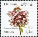 Origanum majorana