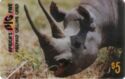 Africa's Big Five - Rhinoceros