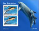 Common Dolphin (Delphinus capensis)