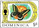 Polydamas Swallowtail (Battus polydamas ssp. dominicus)