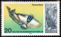 Picasso Triggerfish (Rhinecanthus assasi), Iguanadon