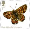 Marsh Fritillary (Euphydryas aurinia) 