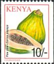 Papaya (Carica papaya)