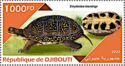 Blanding's Turtle (Emydoidea blandingii)