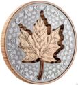 20 Dollars (Super Incuse Silver Maple Leaf)