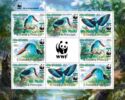 WWF Blue-breasted Kingfisher - Green Overprint