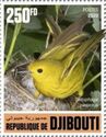 Yellow Warbler (Setophaga petechia)