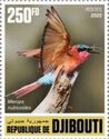 Southern Carmine Bee-eater (Merops nubicoides)