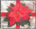 Christmas - Poinsettia