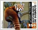 Himalayan Red Panda (Ailurus fulgens)
