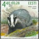 European Badger (Meles meles)