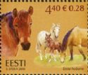 Estonian Horse (Equus ferus caballus)