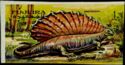 Dimetrodon