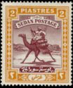 Postman with Dromedary (Camelus dromedarius)