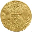 1 Ecu d'or (Charles IX - A - Paris.)