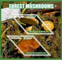 Forest mushrooms